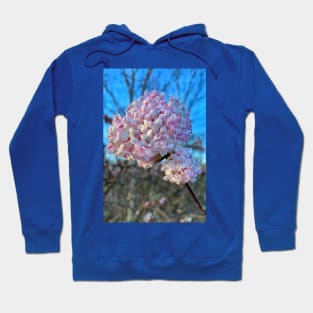 Very Vibrant Viburnum Hoodie